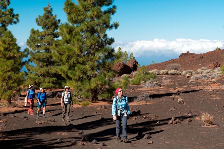 Wandern im Teide-Nationalpark Wandern im Teide-Nationalpark