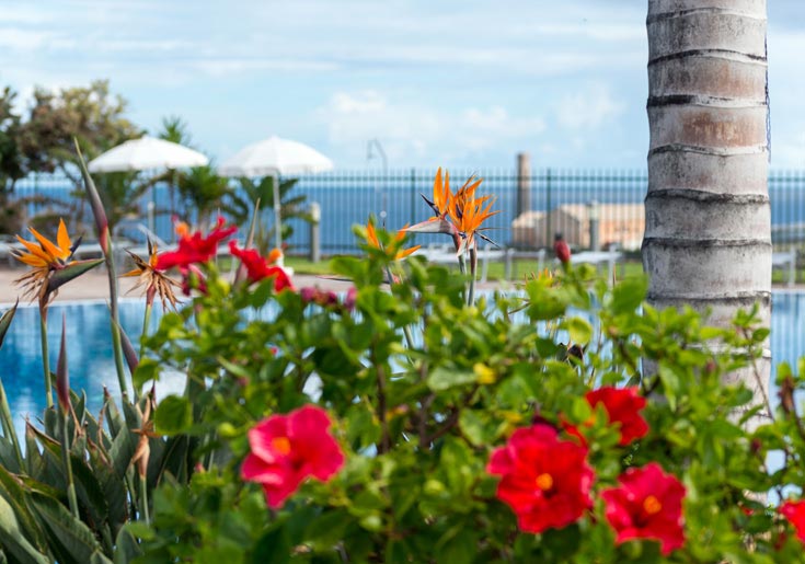 Hotel Luz del Mar - Sommerangebote Hotel Luz del Mar - Sommerangebote