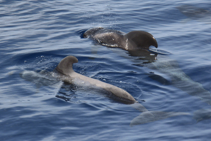 Hotel Luz del Mar - Excursiones Hotel Luz del Mar - Excursiones
